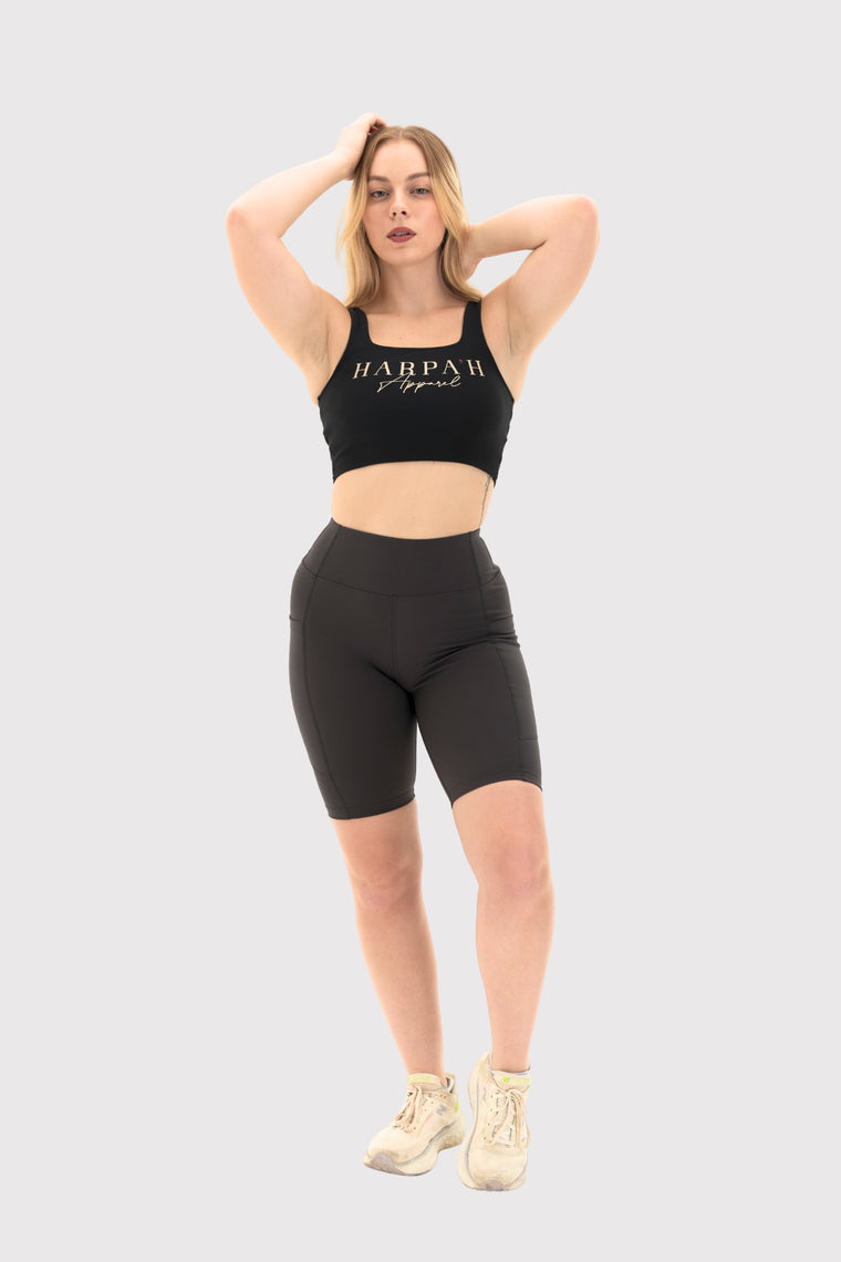 Shape Recovery